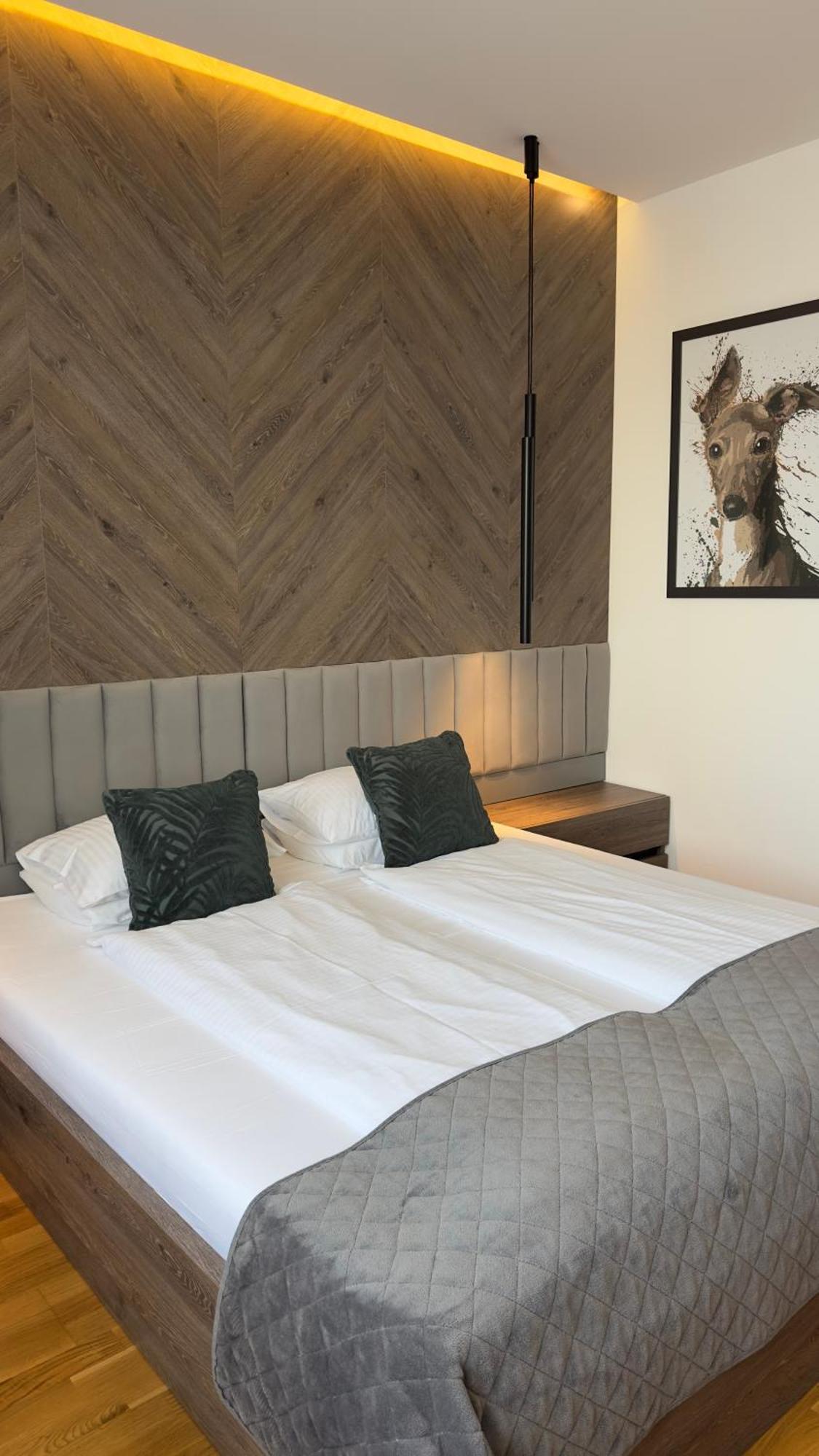 Dom Boutique Apartments - Park View بلغراد المظهر الخارجي الصورة